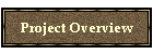 Project Overview